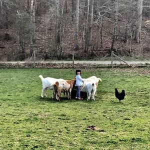 Meet your Posher, Tae woo